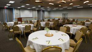 Acropolis Room