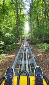 mountain coaster