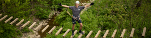 Aerial ropes course