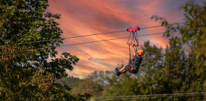 sunset sip and zip