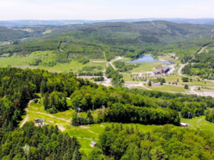 Aerial photo