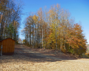 Trail in summer