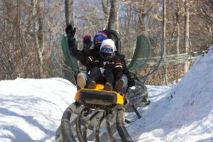 mountain coaster