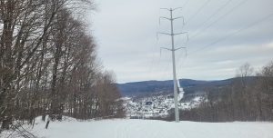 Electra Trail