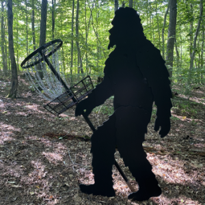 Disc Golf